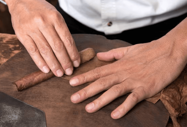 Cuban Cigar Workshop — Guided tour and outdoor activity