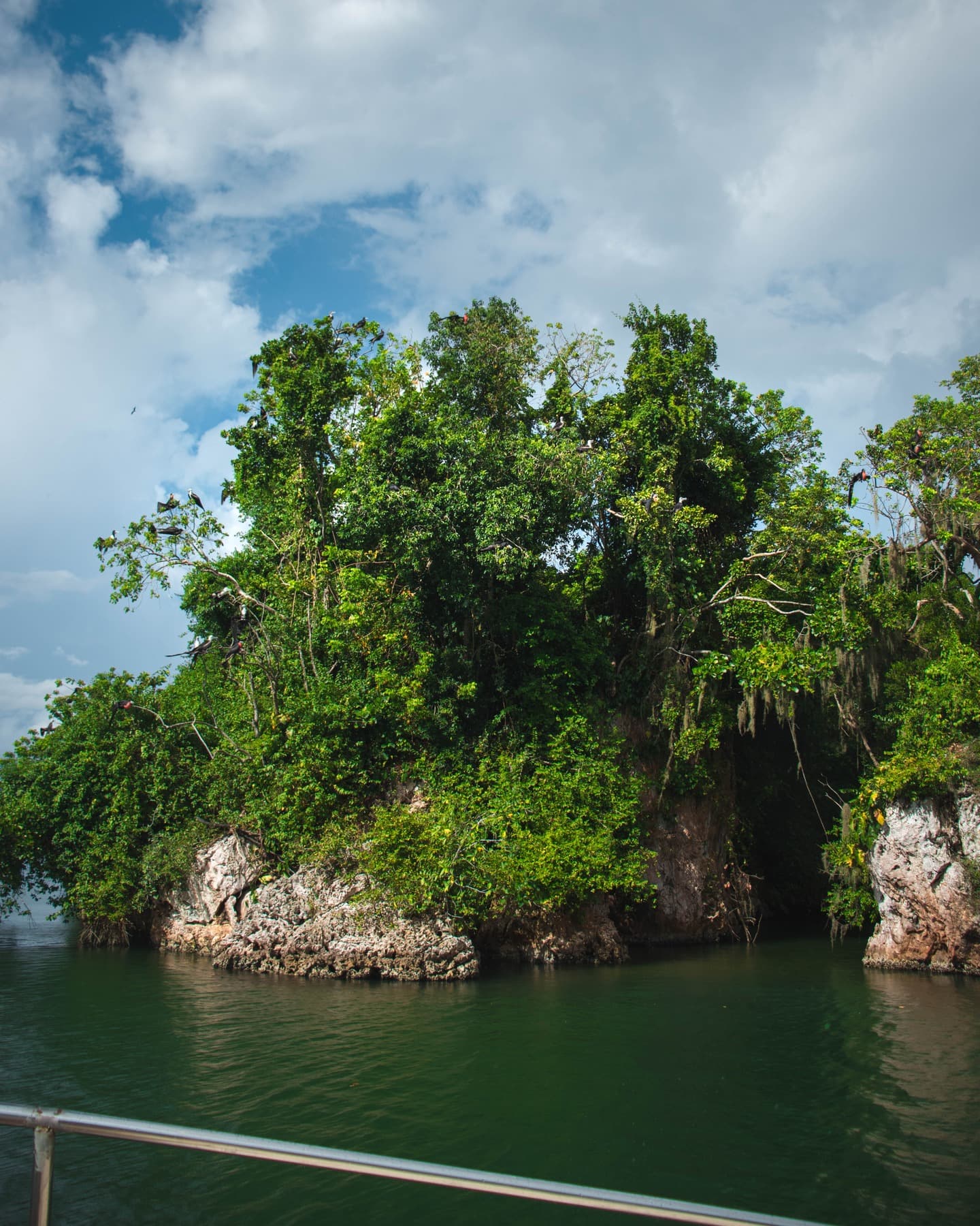 3in1: Los Haitises N. Park + Waterfalls + Montaña Redonda — Guided tour and outdoor activity