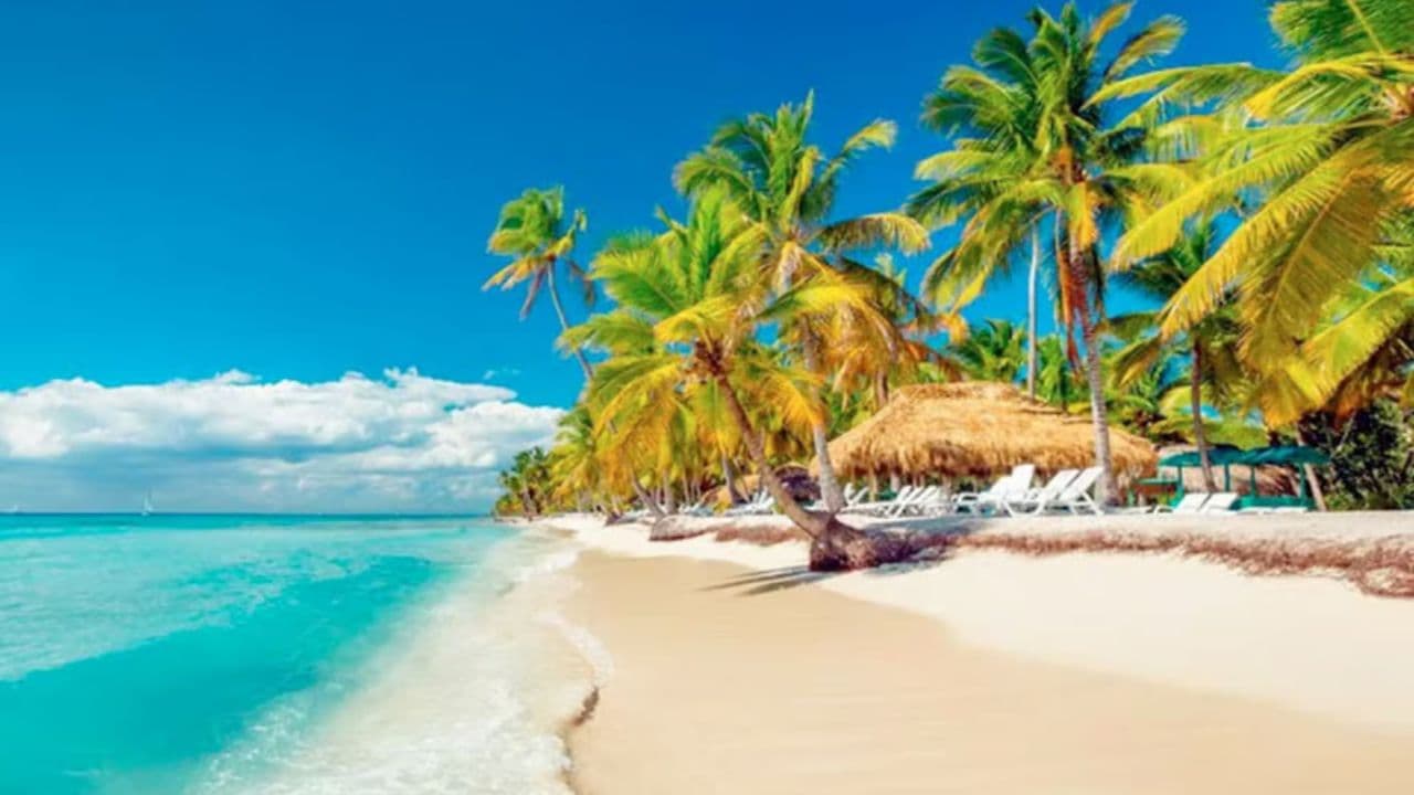 Guided excursion in Los Haitises National Park