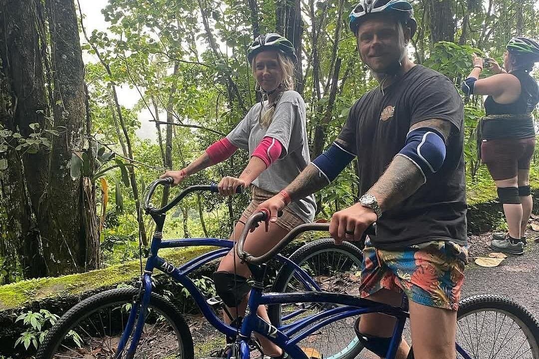 Blue Mountain Highlights Experience — Guided tour and outdoor activity