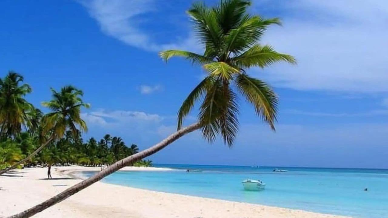 All Inclusive celodenní výlet na ostrov Saona z Punta Cana — Guided tour and outdoor activity
