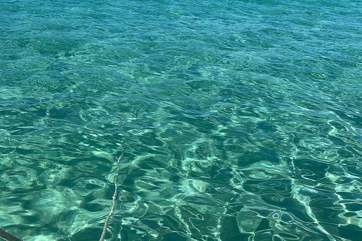Private Tour to Cayo Icacos and Palomino Island — Guided tour and outdoor activity