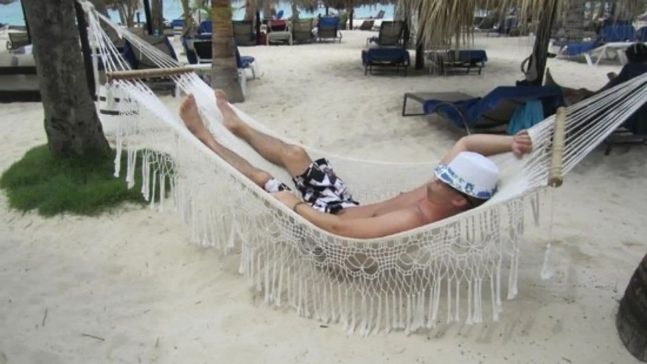 Saona Island Snorkeling, Catamaran and Lunch on the Beach — Guided tour and outdoor activity