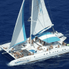 Punta Cana: Saona Island Catamaran Day Trip with Tickets and Lunch — Guided tour and outdoor activity