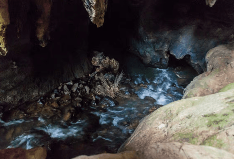 Cueva del Silencio Hike — Guided tour and outdoor activity