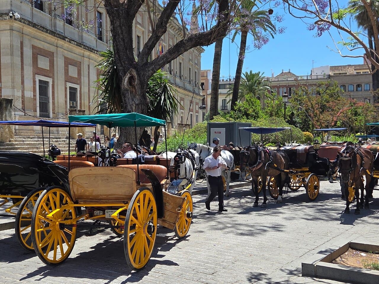 Seville Hop-On Hop-Off Bus Tour for 48 hours — Guided tour and outdoor activity