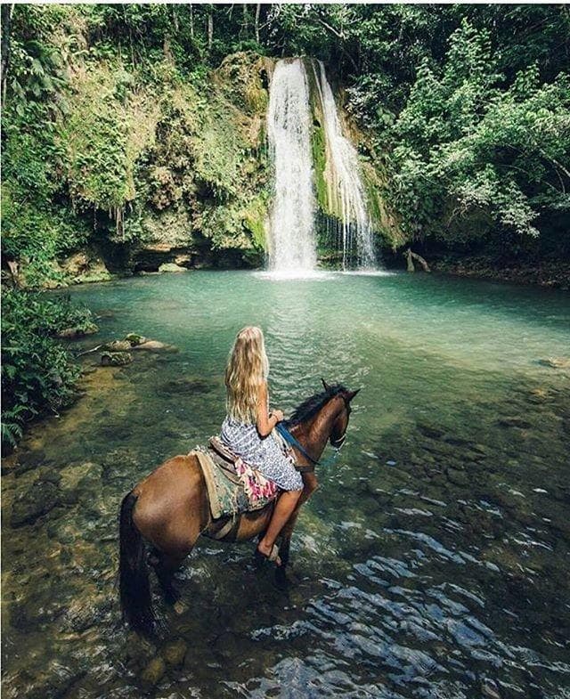 Best Tours in Samaná Dominican Republic (2026 Guide) | Top Excursions
