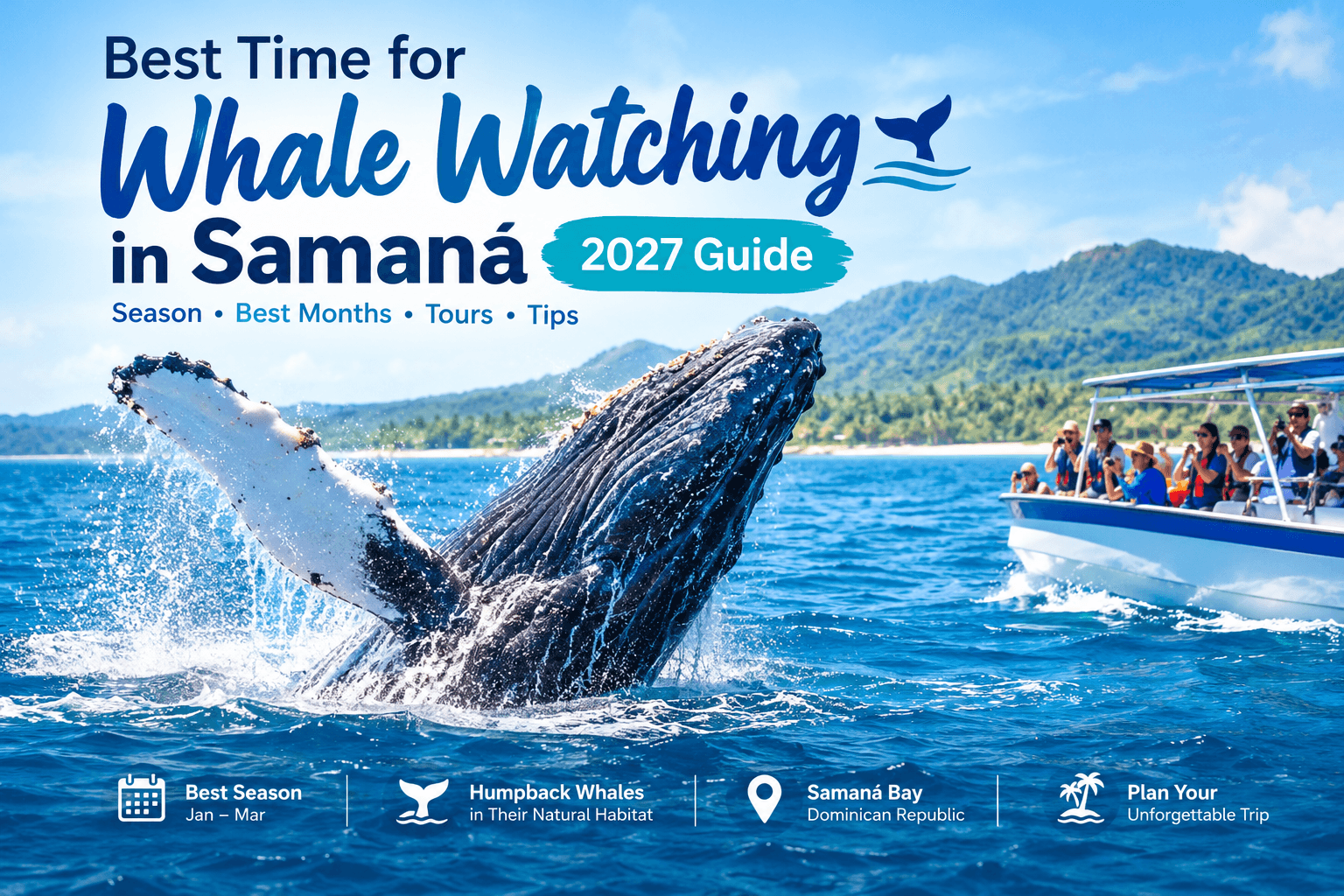 Best Time for Whale Watching in Samaná: 2027 Guide