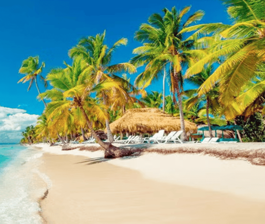 Punta Cana :Saona Island Paradise full-Day Escape — Guided tour and outdoor activity