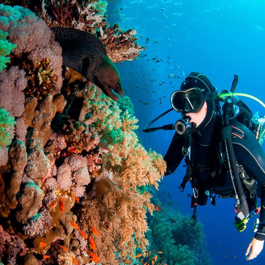 Bayahibe: Catalina Island Scuba Diving Tour with Lunch — Guided tour and outdoor activity