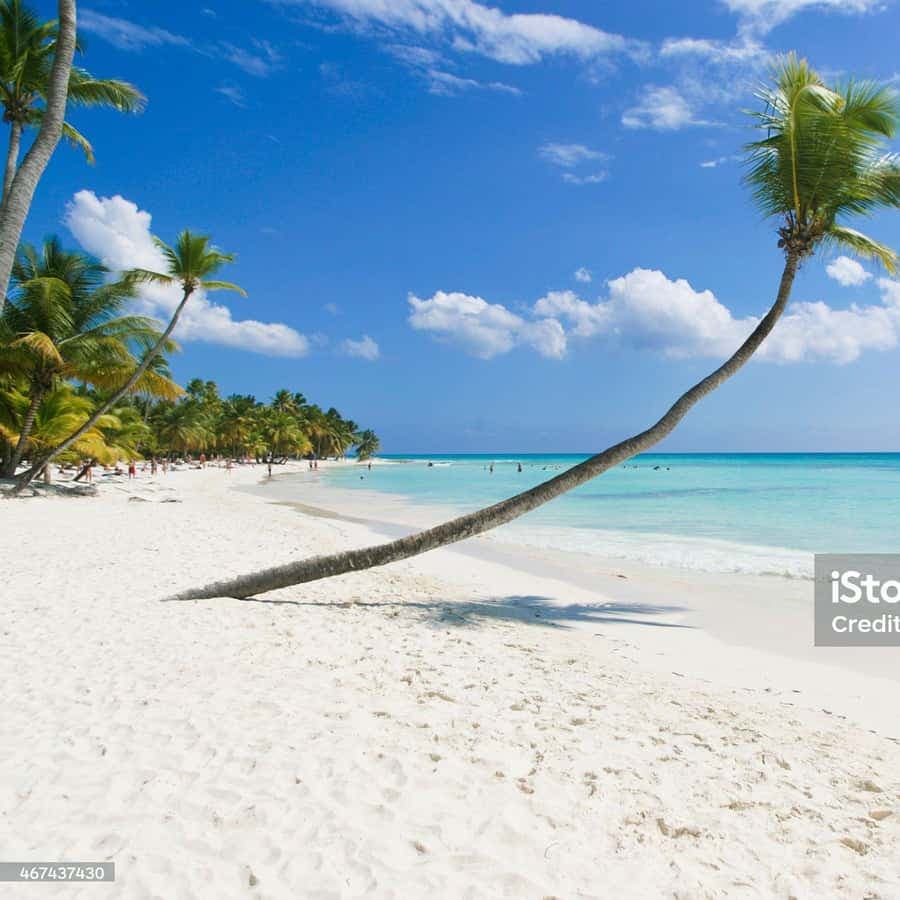 Punta Cana: Saona Island Cruise with Lunch & Open Bar — Guided tour and outdoor activity