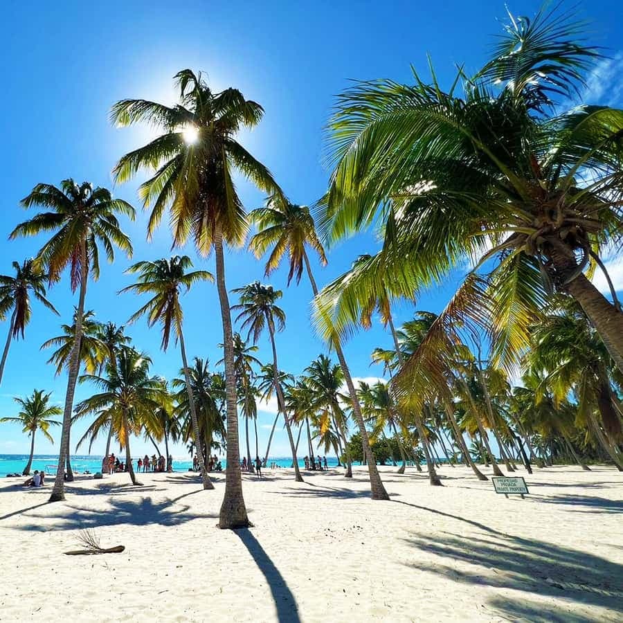 Punta Cana: Saona Island Premium 3 beaches — Guided tour and outdoor activity