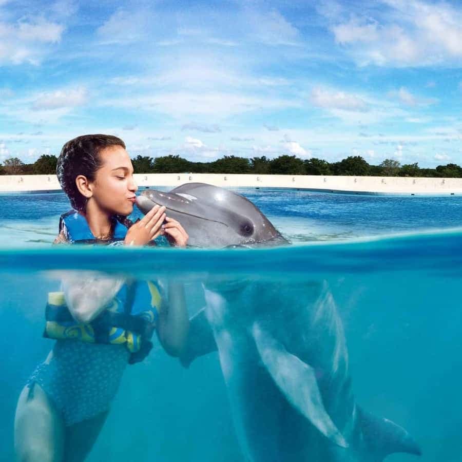 Punta Cana: Dolphin Discovery Park with Hotel Transfers — Guided tour and outdoor activity