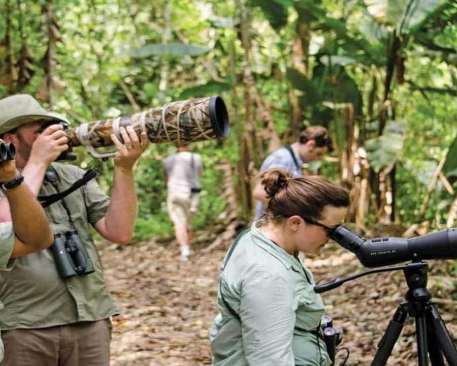 Bayahibe: Birdwatching Tour with Guide — Guided tour and outdoor activity