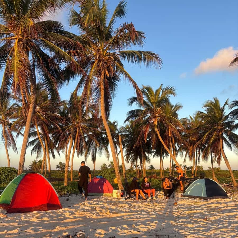 Private ATV Tours in Punta Cana Without Stops Panoramic — Guided tour and outdoor activity