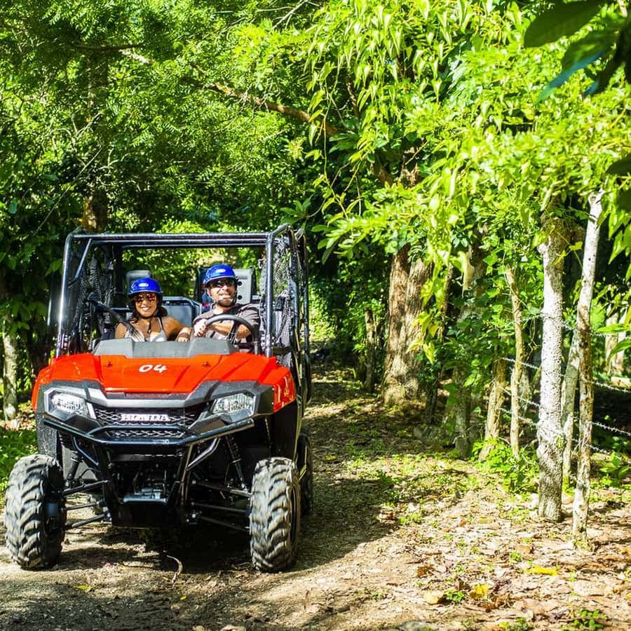 巴亚希贝/拉罗马纳:4x4 越野车和猴子乐园之旅 — Guided tour and outdoor activity