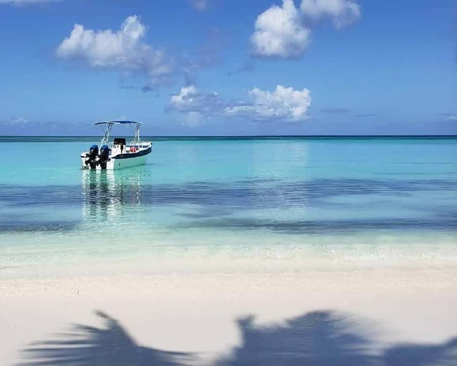 Santo Domingo: Isla Saona Day Trip with Lunch & Catamaran — Guided tour and outdoor activity