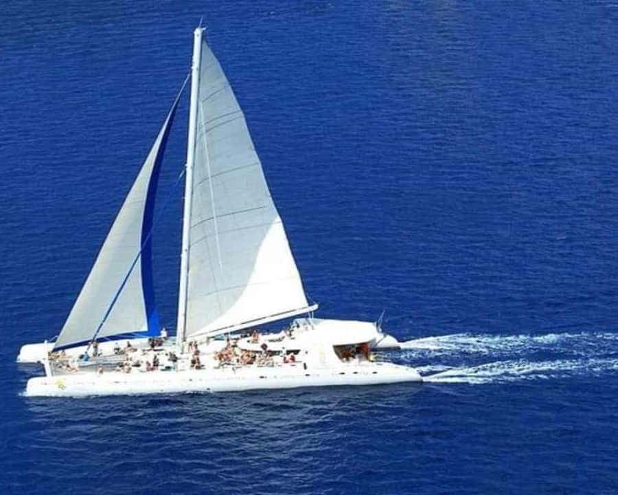 Catamaran Cruise on Saona Island with Lunch and Drinks — Guided tour and outdoor activity