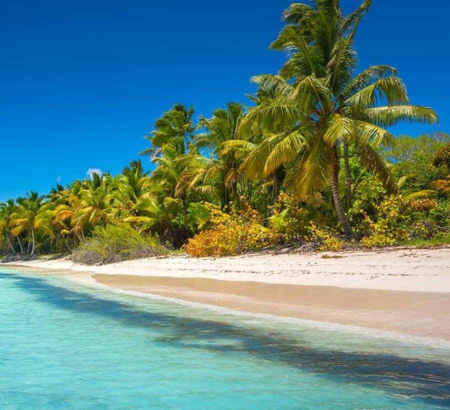 Saona Island: Full-Day Tour with Speedboat and Catamaran — Guided tour and outdoor activity