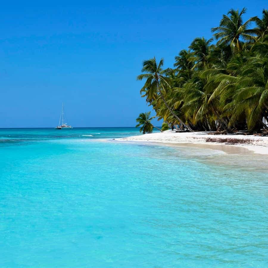 Saona Island Private: +10 People Catamarán — Guided tour and outdoor activity