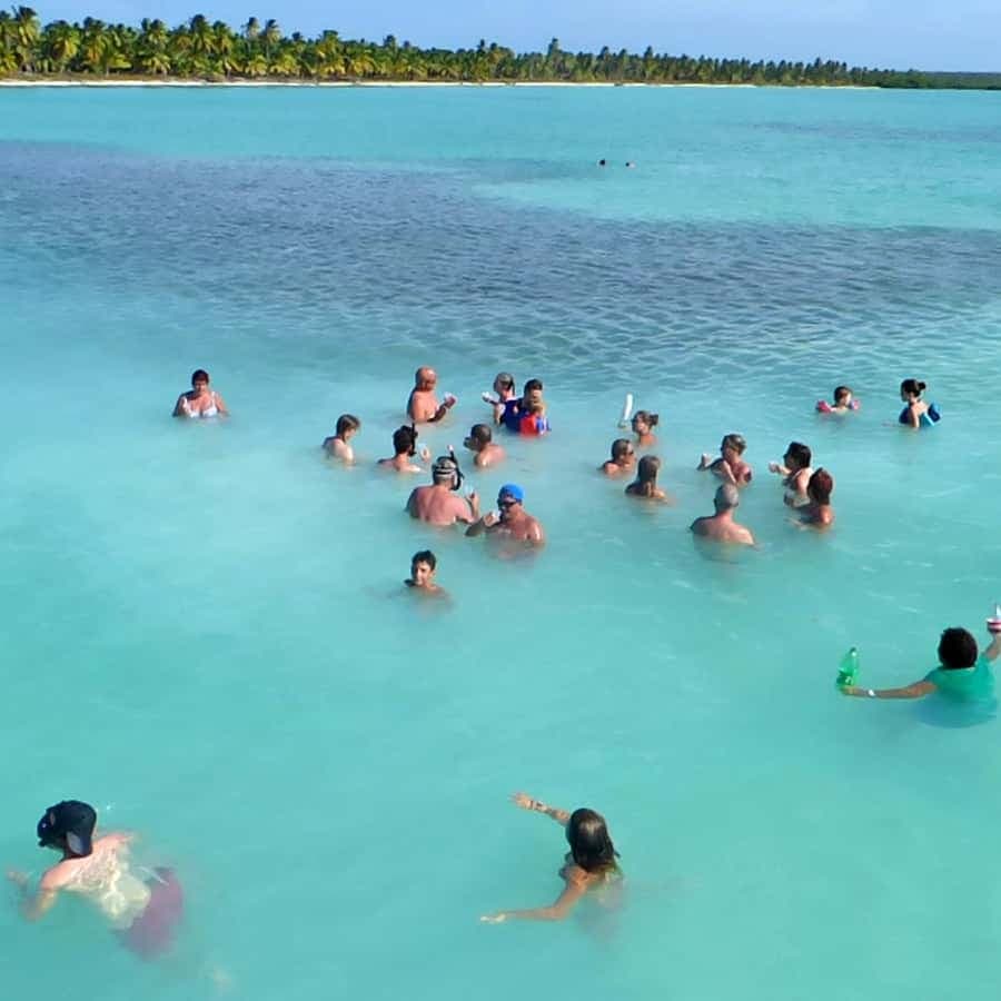 Santo Domingo: Saona Island Tour by Catamaran or Speedboat — Guided tour and outdoor activity
