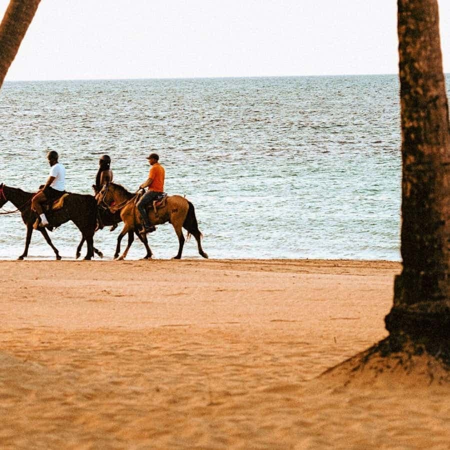 Coastal Trails & Culture: Horseback Sunset Experience — Guided tour and outdoor activity