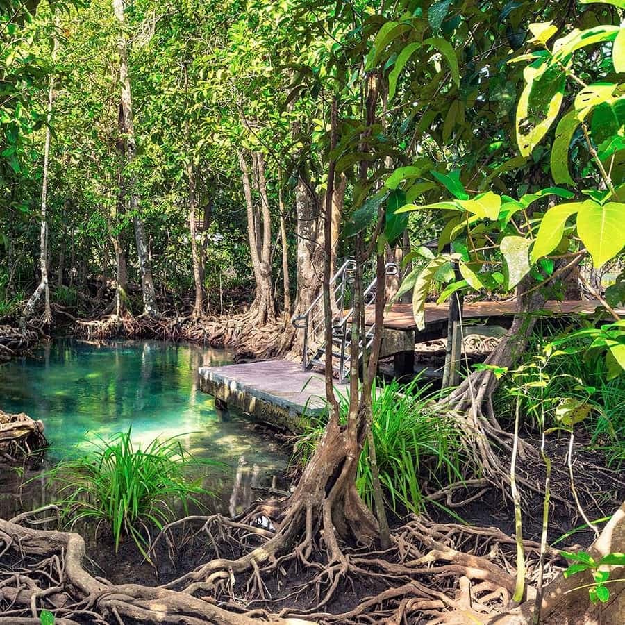 Mangroves, Mogotes and Mountains from Punta Cana — Guided tour and outdoor activity