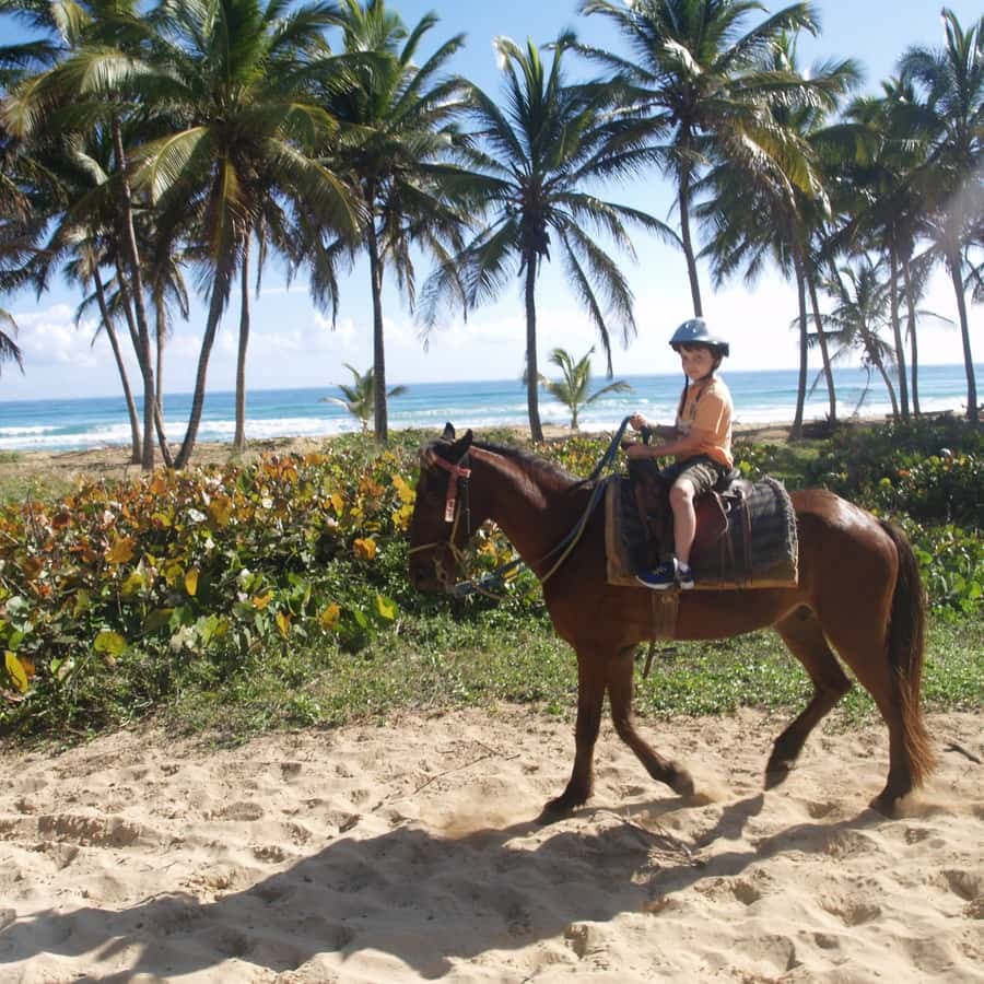 Punta Cana: Horseback Ride to Macao Beach — Guided tour and outdoor activity