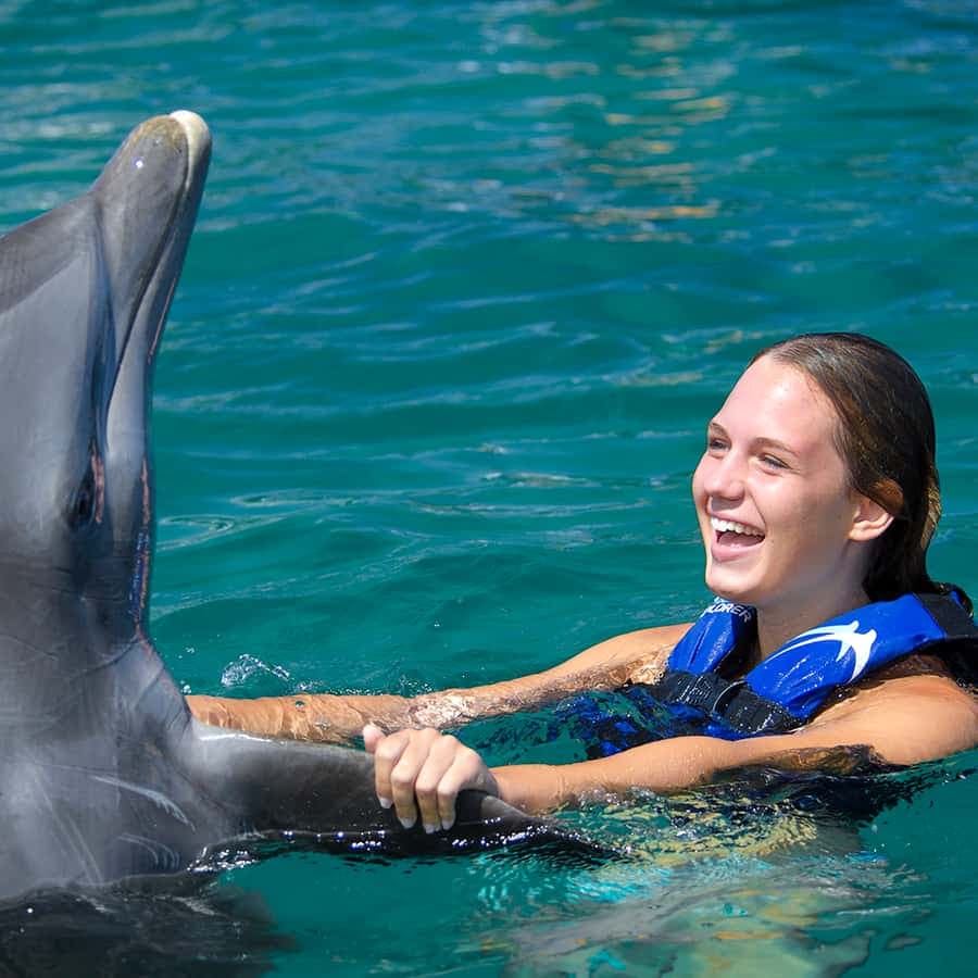 Punta Cana: Dolphin Explorer Swims and Interactions — Guided tour and outdoor activity