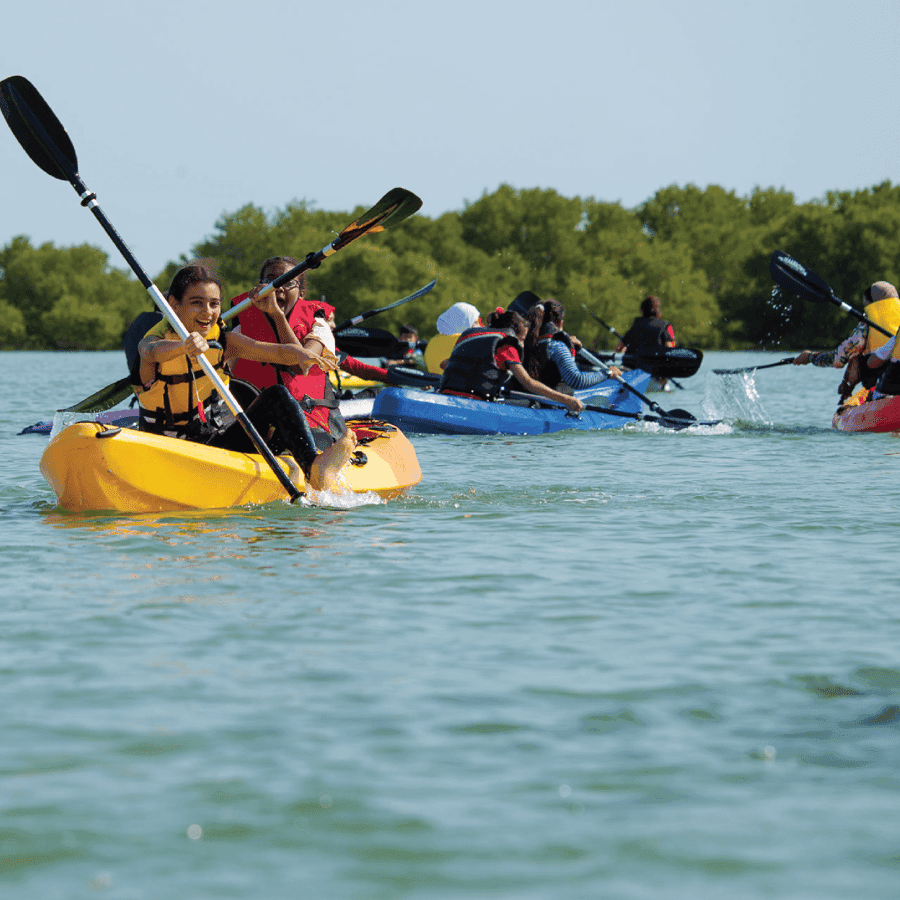 Punta Canából: Los Haitises és Caño Hondo privát hajótúra — Guided tour and outdoor activity