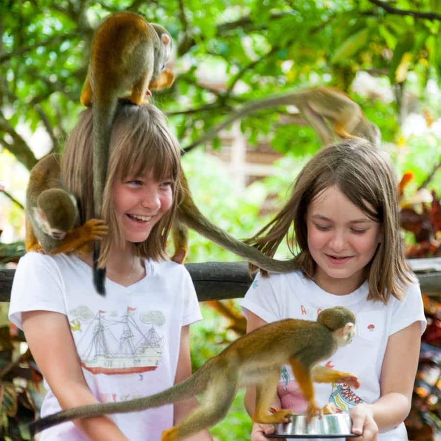 Da Bayahibe: safari di mezza giornata a Monkeyland — Guided tour and outdoor activity