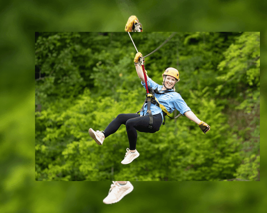 Rainforest Ziplining Adventure — Guided tour and outdoor activity