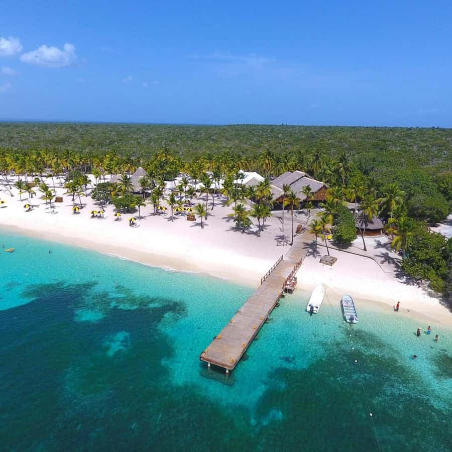 Bayahibe: Schnorchel- und Tauchtour auf Catalina Island — Guided tour and outdoor activity