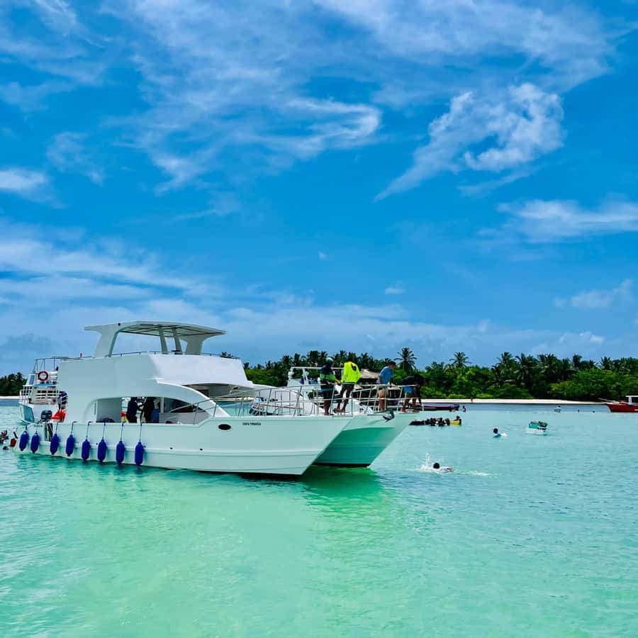 Punta Cana Private Catamaran Cruise, Open Bar & Snorkeling — Guided tour and outdoor activity