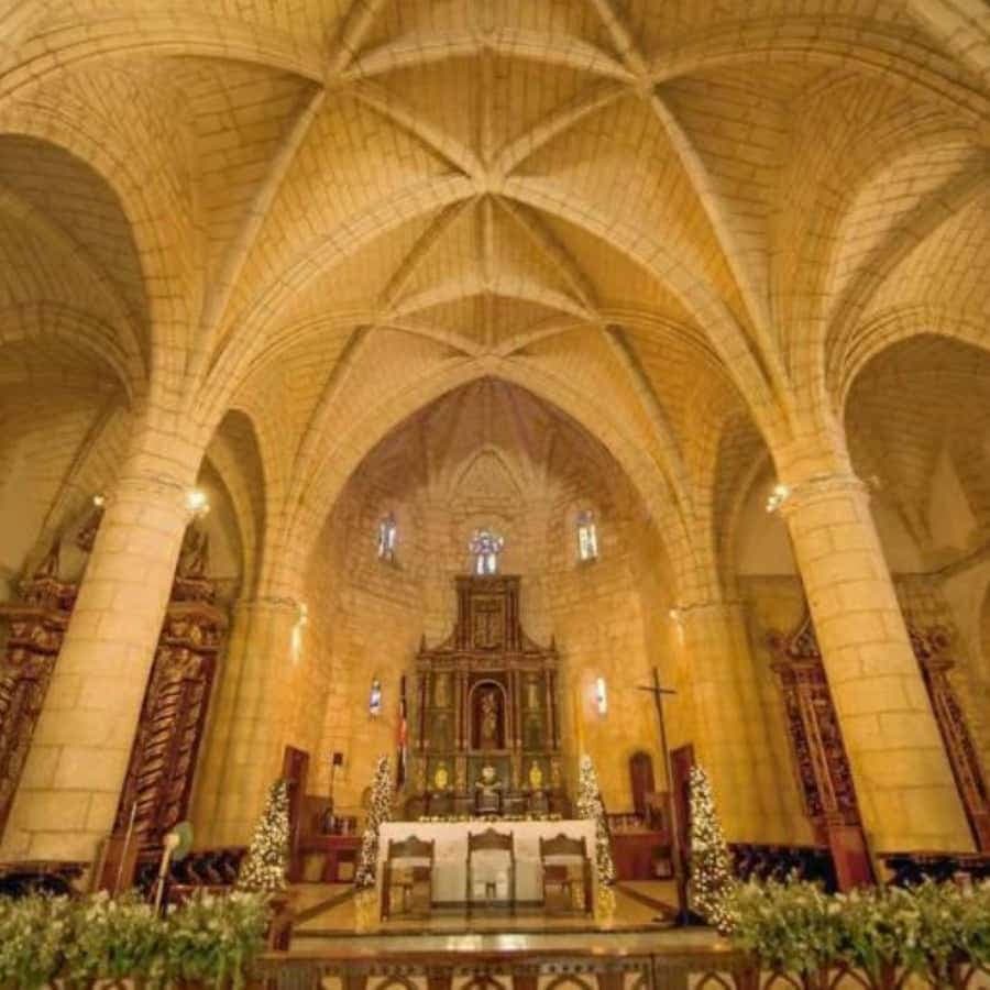 From Punta Cana: Santo Domingo History Day Trip with Lunch — Guided tour and outdoor activity