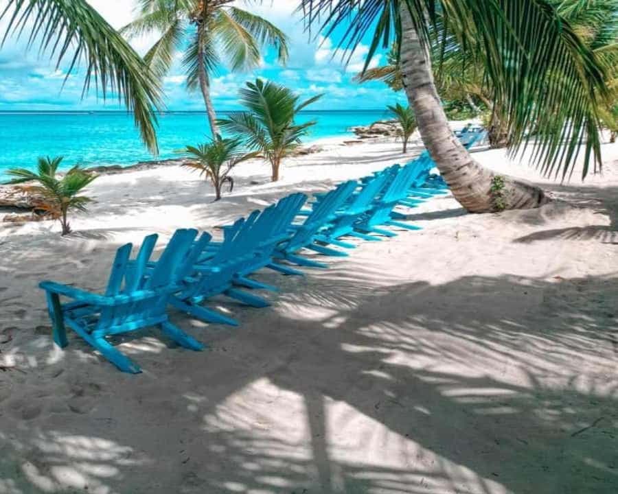 Carnevial Shore Excursion: Saona Island with Speedboat Ride — Guided tour and outdoor activity