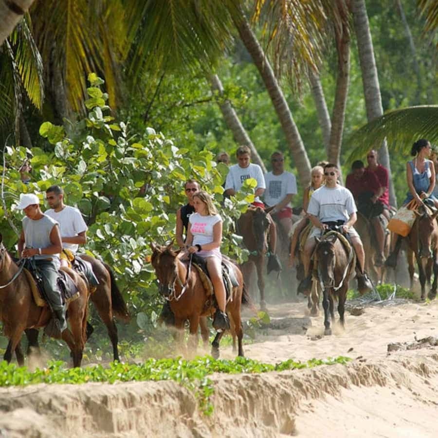 Samana, Ballenas, Cayo Levantado, Horseback Riding — Guided tour and outdoor activity