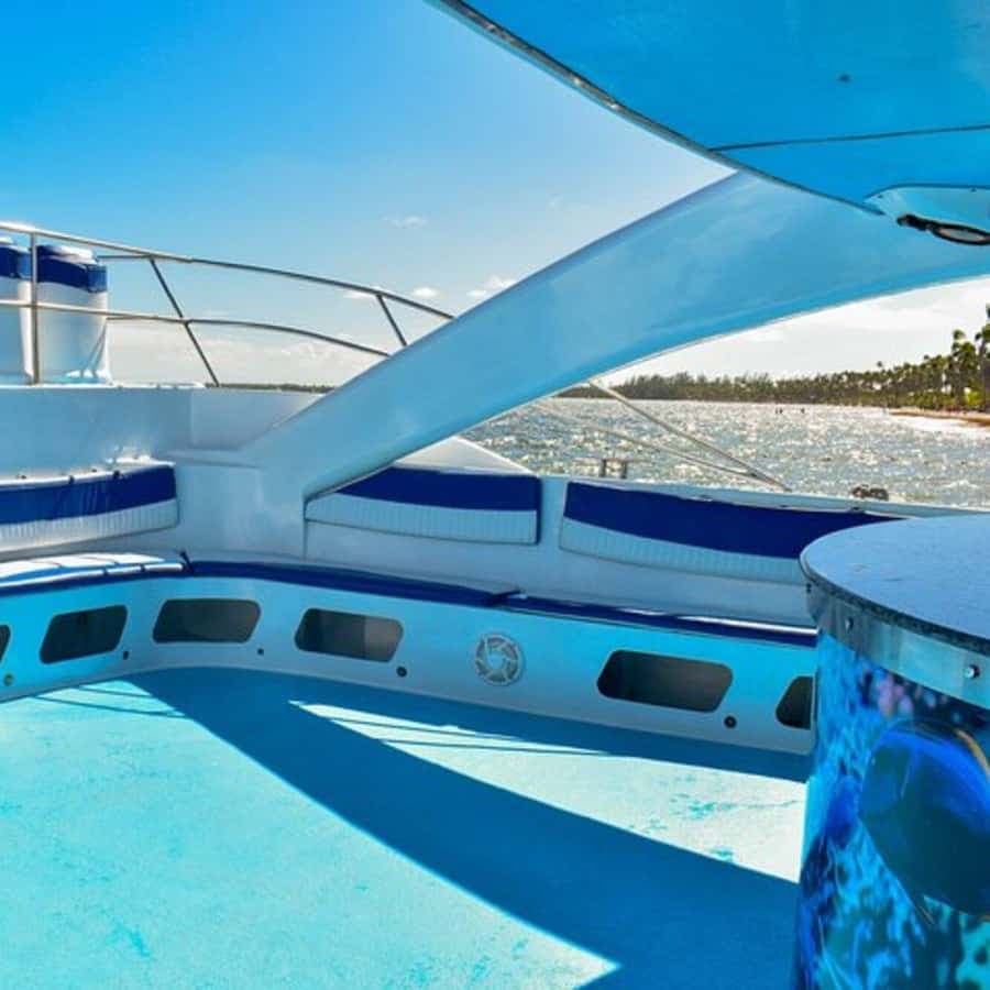 Punta Cana: Half-Day Snorkeling & Natural Pool Tour — Guided tour and outdoor activity