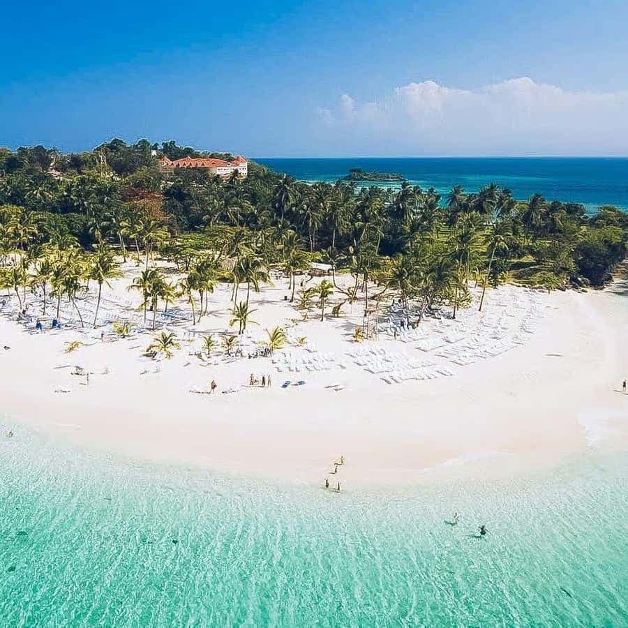 Punta Cana: Samaná Peninsula Whale Watching Day Trip — Guided tour and outdoor activity