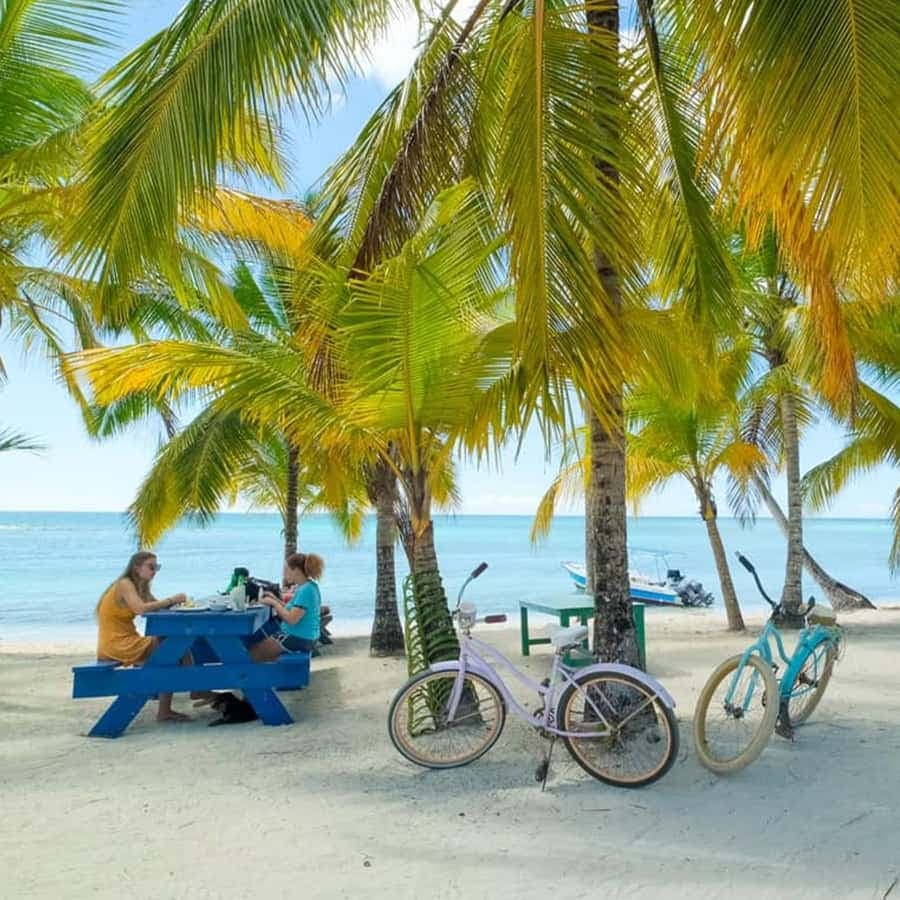 Punta Cana: Isla Saona Day Trip with Catamaran Cruise — Guided tour and outdoor activity
