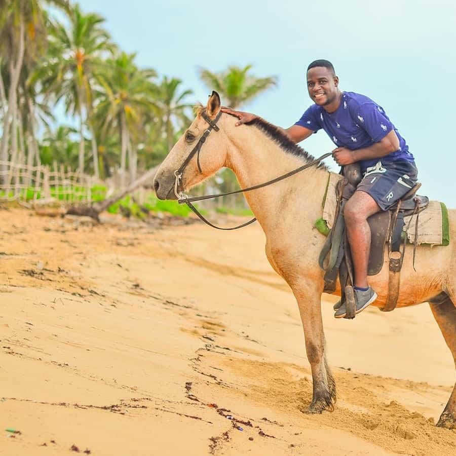 Punta Cana: Beach Sunset Horseback Riding with Hotel Pickup — Guided tour and outdoor activity
