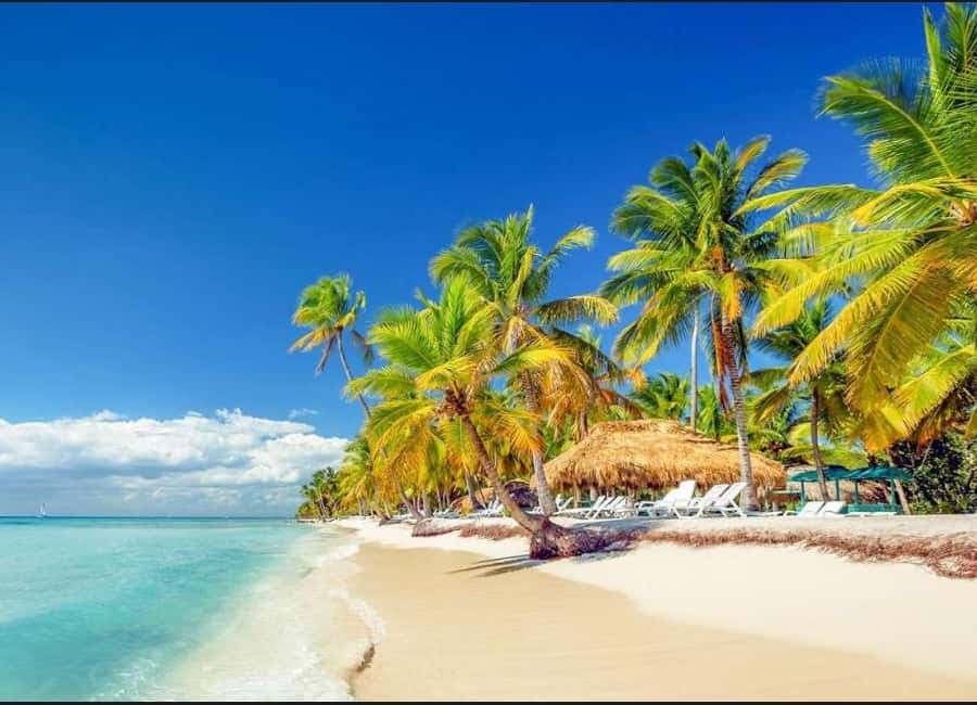 Punta Cana : Excursions en Buggy AtV / cénote sur la plage — Guided tour and outdoor activity