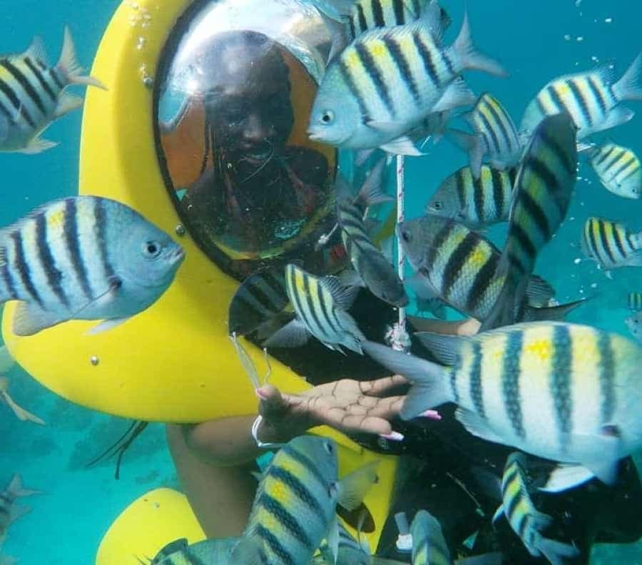 Scubadoo Punta Cana Diving Adventure — Guided tour and outdoor activity