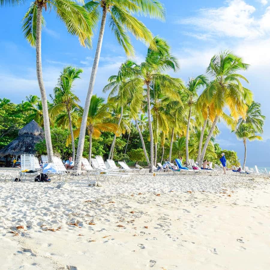 Bayahibe to Samaná Whale Watching | Private Catamaran Tour — Guided tour and outdoor activity