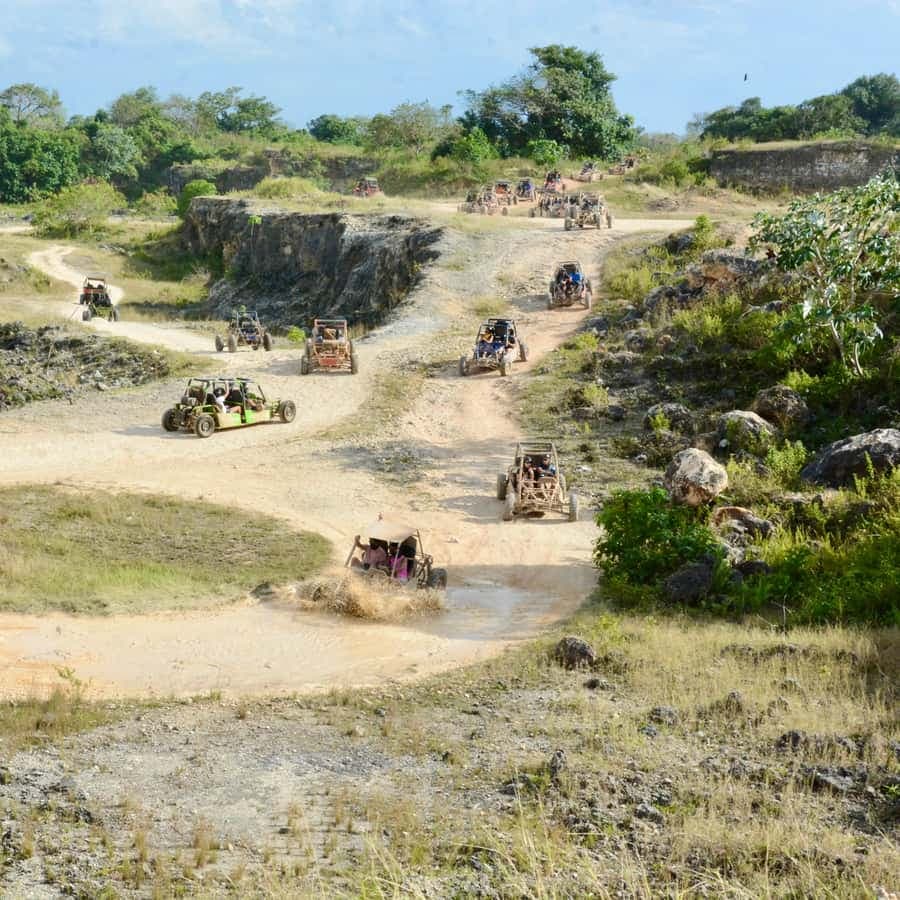 Wild Tiger Buggy: The Best Buggy Excursions in Punta Cana — Guided tour and outdoor activity