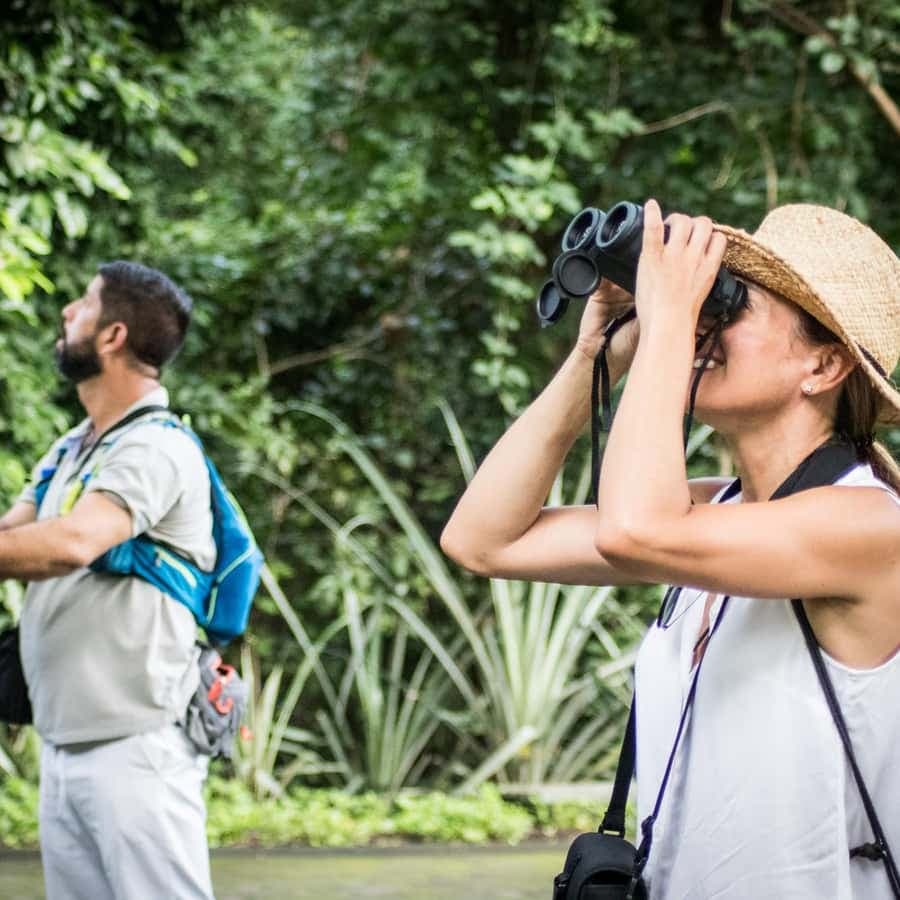La Romana: Bird Watching From Casa de Campo — Guided tour and outdoor activity