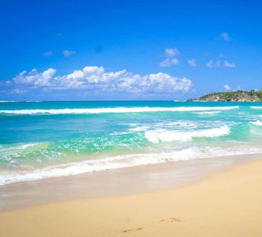 Punta Cana Excursions & Tours - Punta Cana Adventures — Guided tour and outdoor activity