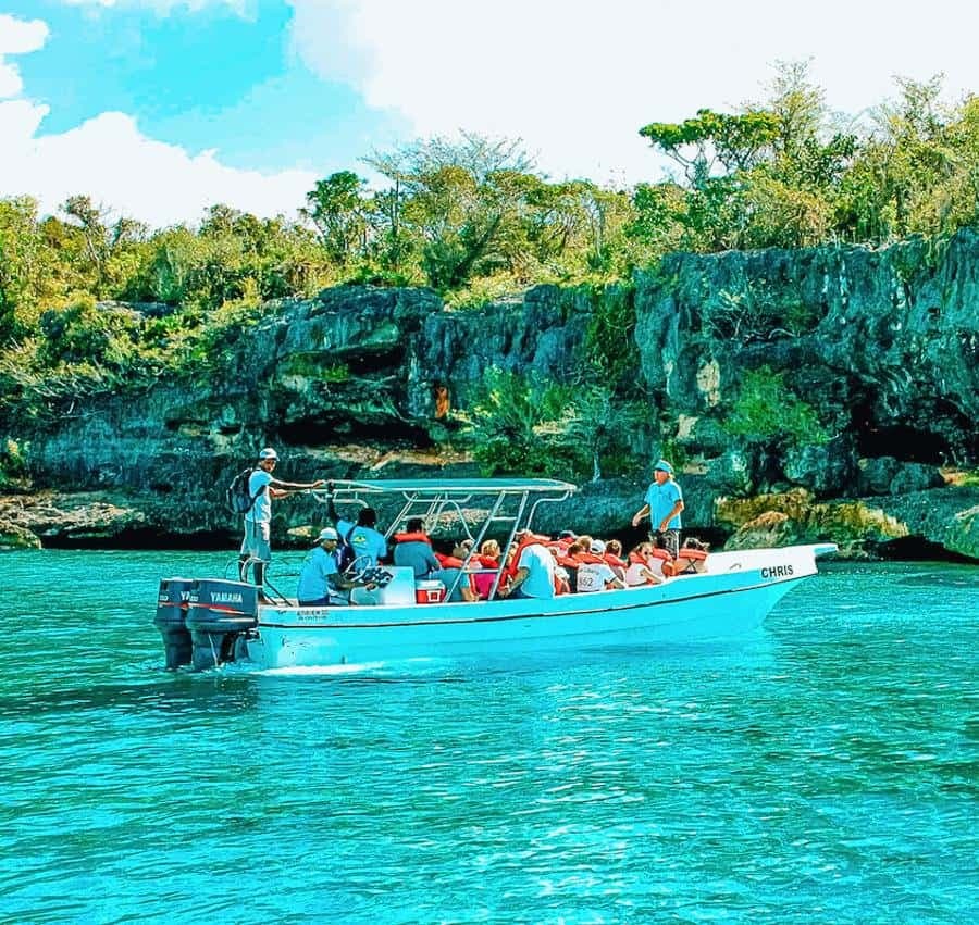 Isla Saona Speedboat Tour - Lunch, Wildlife & Natural Pools — Guided tour and outdoor activity