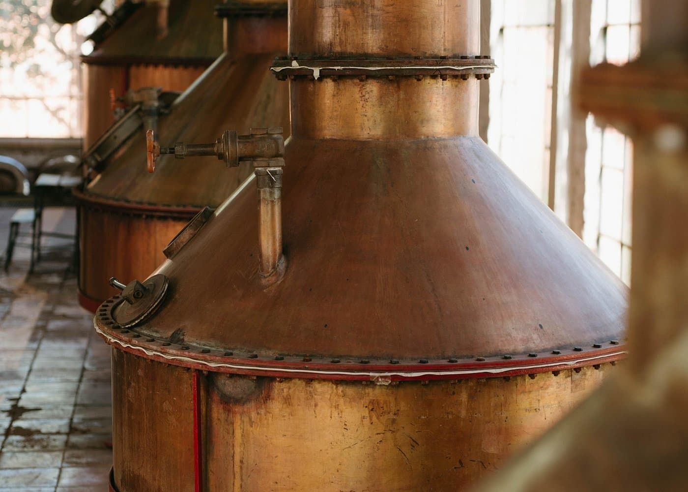 Full-Day Tour in Tequila factory and Cantaritos el Gúero — Guided tour and outdoor activity