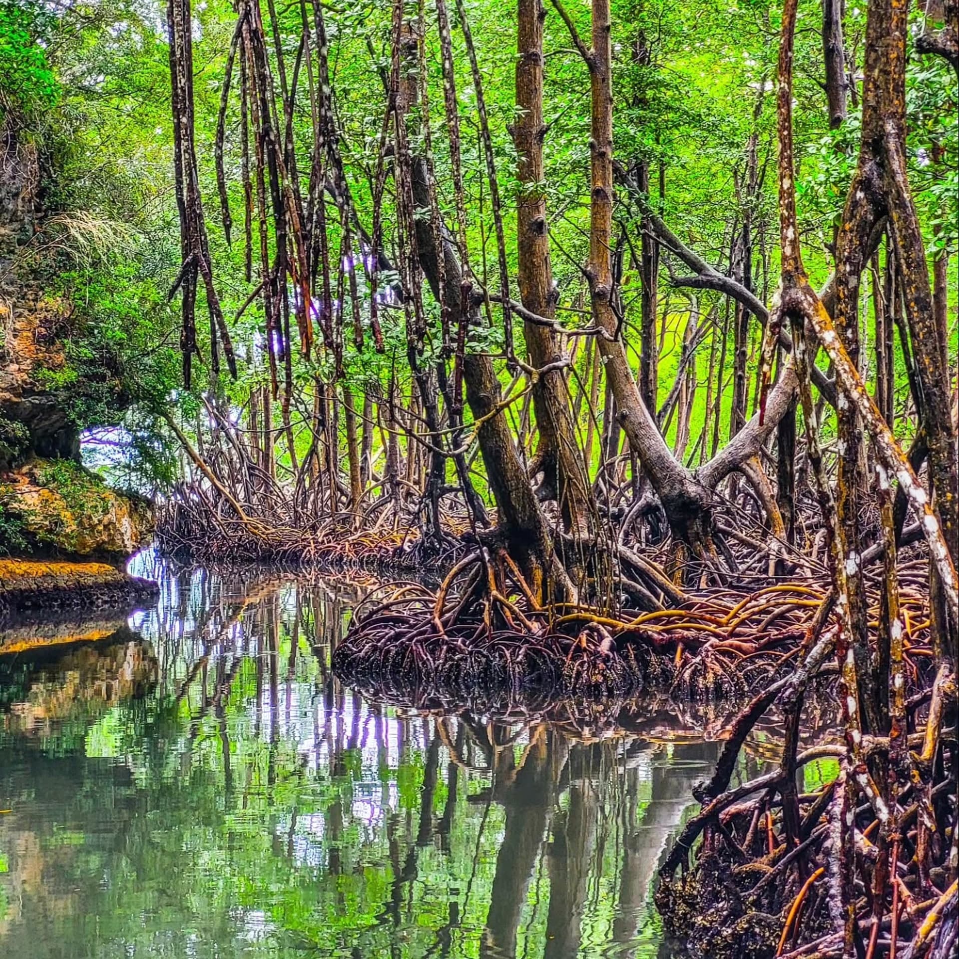 Samaná: Los Haitises ATV & Kayak + Cayo Levantado Tour — Guided tour and outdoor activity
